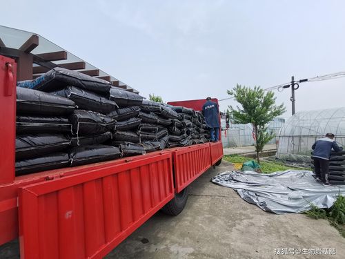 seek生物炭基肥助力國家重點研發計劃項目實施