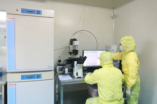 西部第一 全國第五 四川這7個 國字號 實驗室,牛