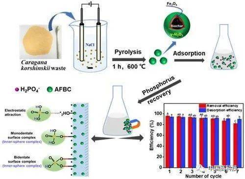 前沿科技 中科院科學(xué)家在生態(tài)環(huán)境治理新型材料研發(fā)方面取得系列進(jìn)展