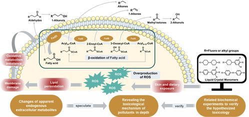探明微塑料與液晶單體等新污染物微生物毒性效應