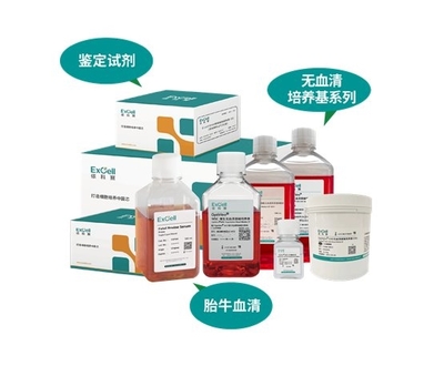 依科賽:聚焦胎牛血清、無(wú)血清培養(yǎng)基和鑒定試劑國(guó)產(chǎn)化和國(guó)際化